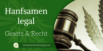 Hanfsamen legal – Gesetz und Recht Hanfsamen legal – Gesetz und Recht