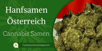 Hanfsamen Österreich