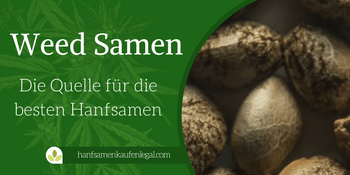 Weed Samen