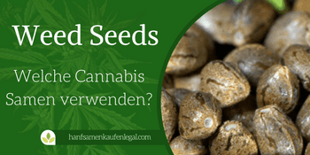 Weed Seeds
