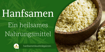 Hanfsamen