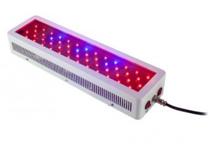100W LED Panel, gemischtes Spektrum