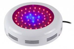 90W LED UFO, blaues Spektrum