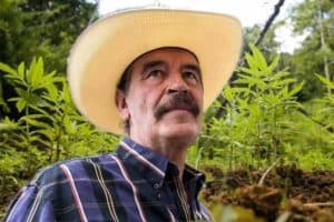 Marihuana Mexiko